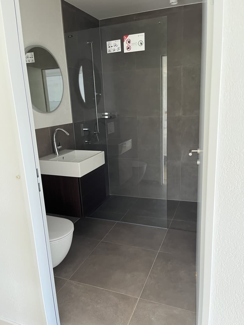 Primo affitto 3.5 locali appartamento 158m2 stile loft, 2600.- Fr (6)