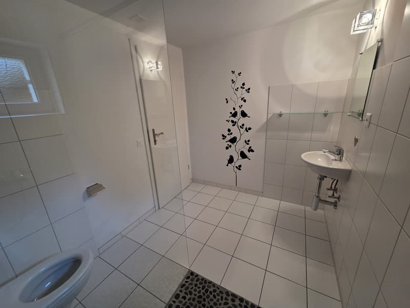 Appartement loft unique de 3 pièces avec jardin d'hiver & jardin (12)