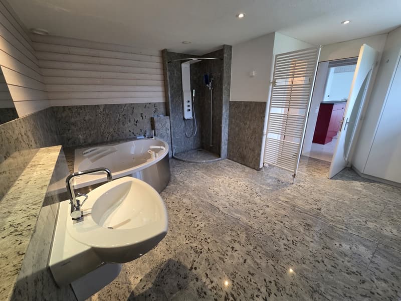 Appartement loft unique de 3 pièces avec jardin d'hiver & jardin (10)