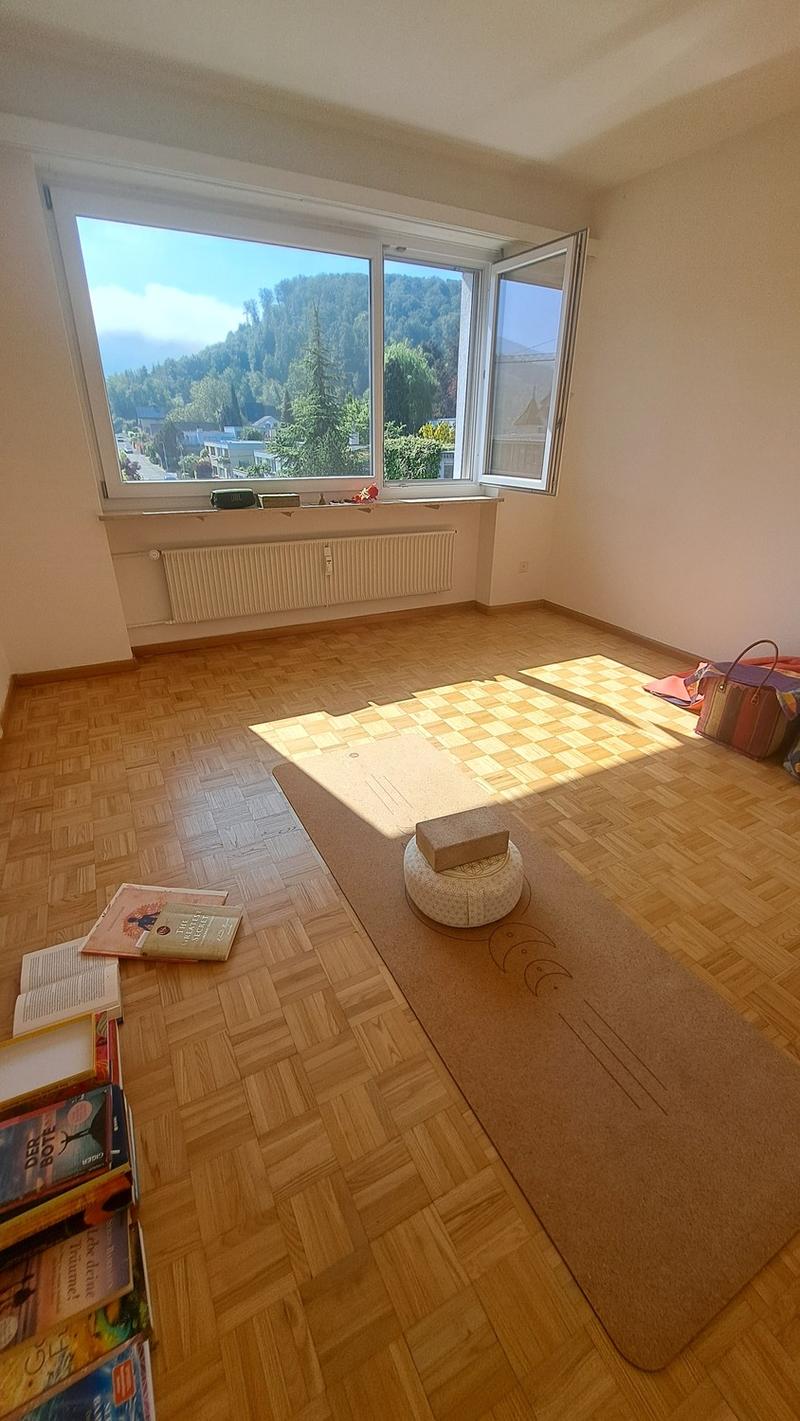 Bright and peaceful apartment in Aesch BL for rent (4)