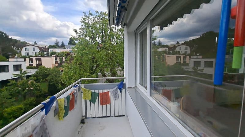 Bright and peaceful apartment in Aesch BL for rent (5)