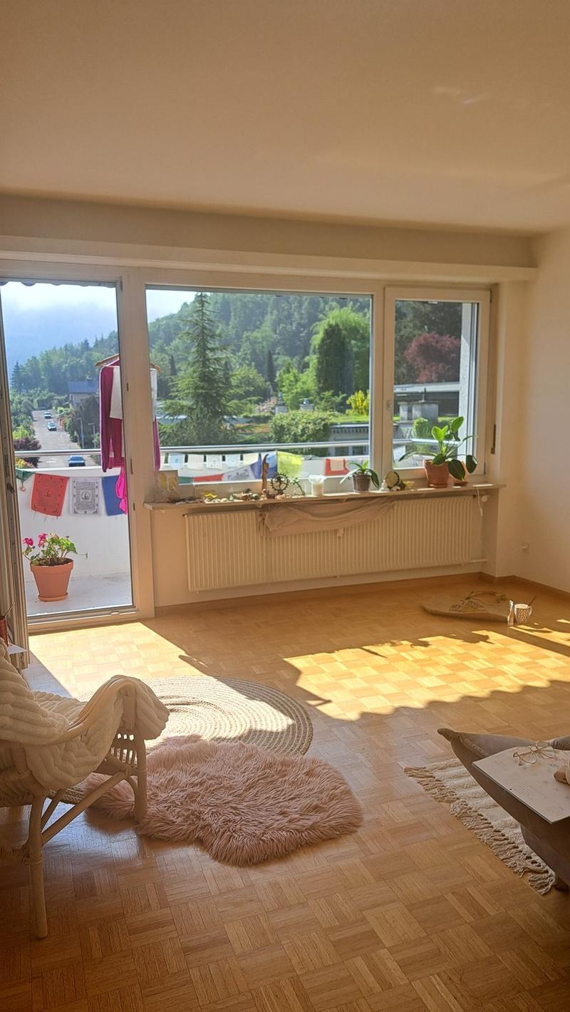 Bright and peaceful apartment in Aesch BL for rent (1)