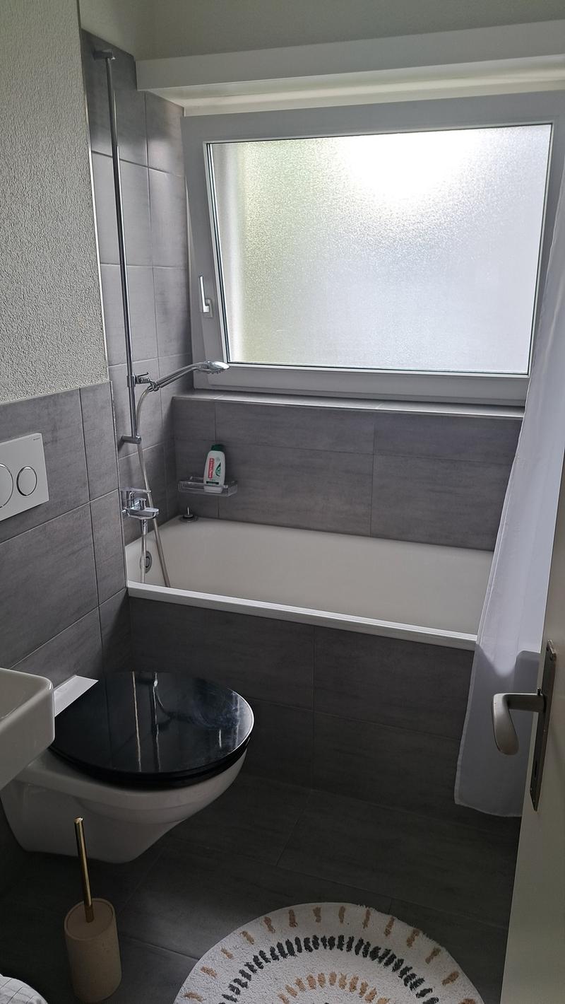 Bright and peaceful apartment in Aesch BL for rent (6)