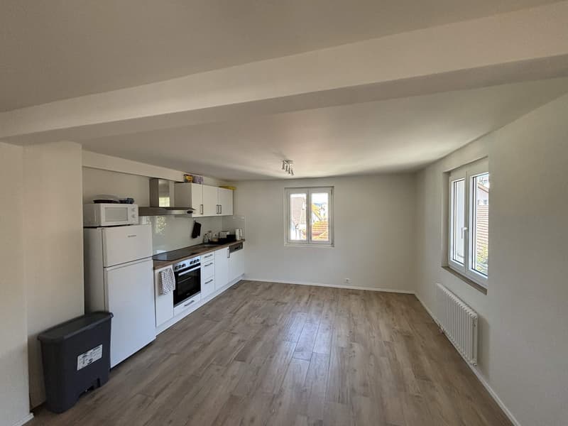 Affittate un appartamento di 3 ½ locali a Horgen (2)