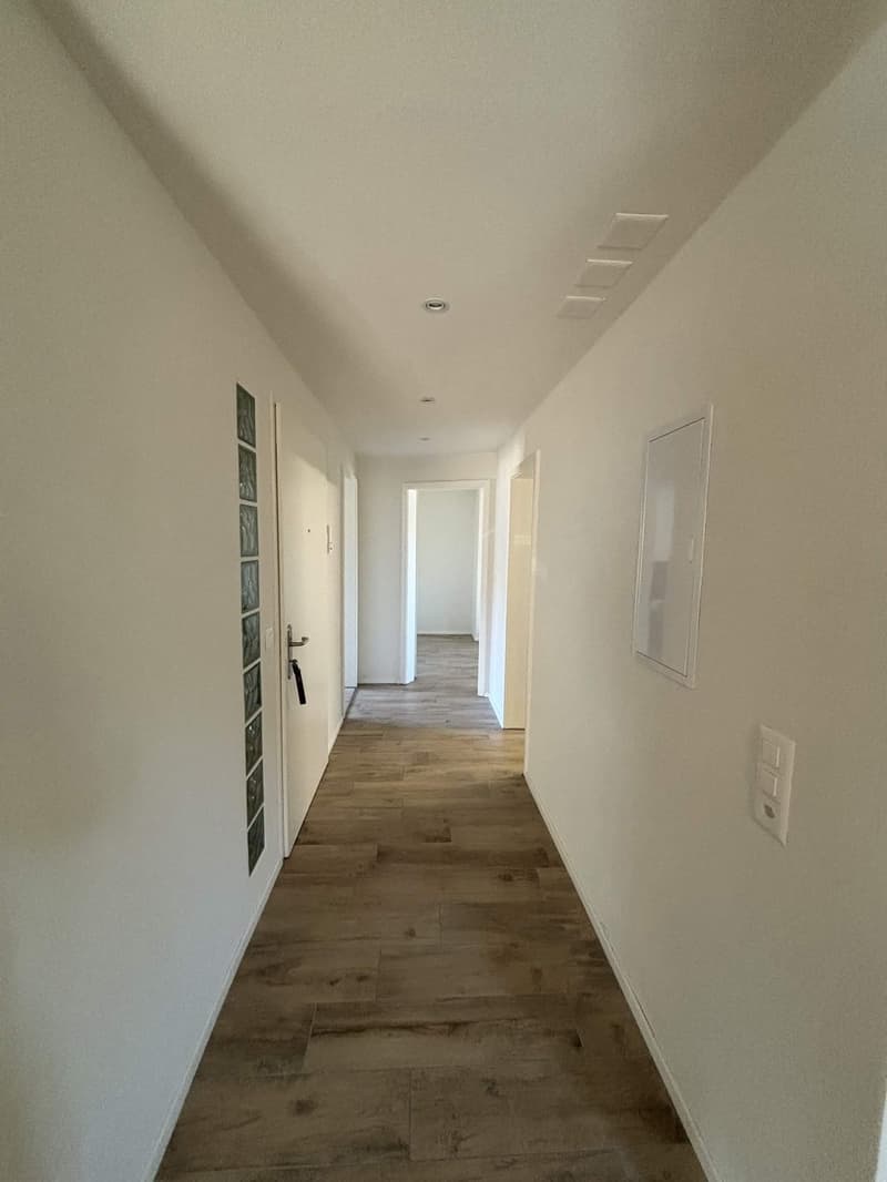 Affittate un appartamento di 3 ½ locali a Horgen (6)