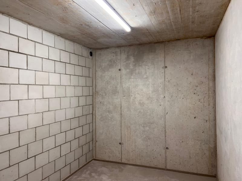Construction neuve - Première occupation d'une maison de rangée de 6 pièces avec jardin (11)