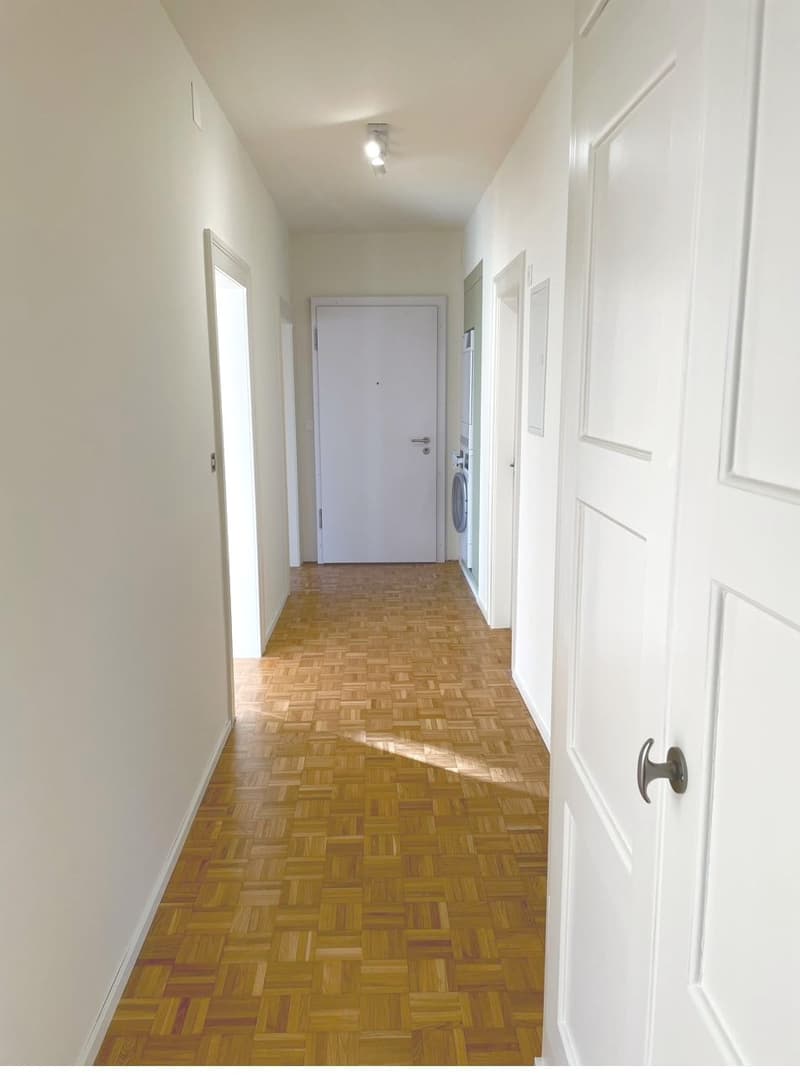 Charmant appartement 4.5 pièces dans une maison à deux familles, Schöngrund (10)