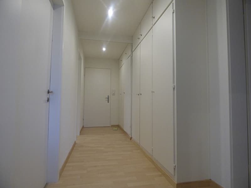 Appartement 3 pièces meublé à partir du 01.07.2026 - près de l'Uni/ETH (8)