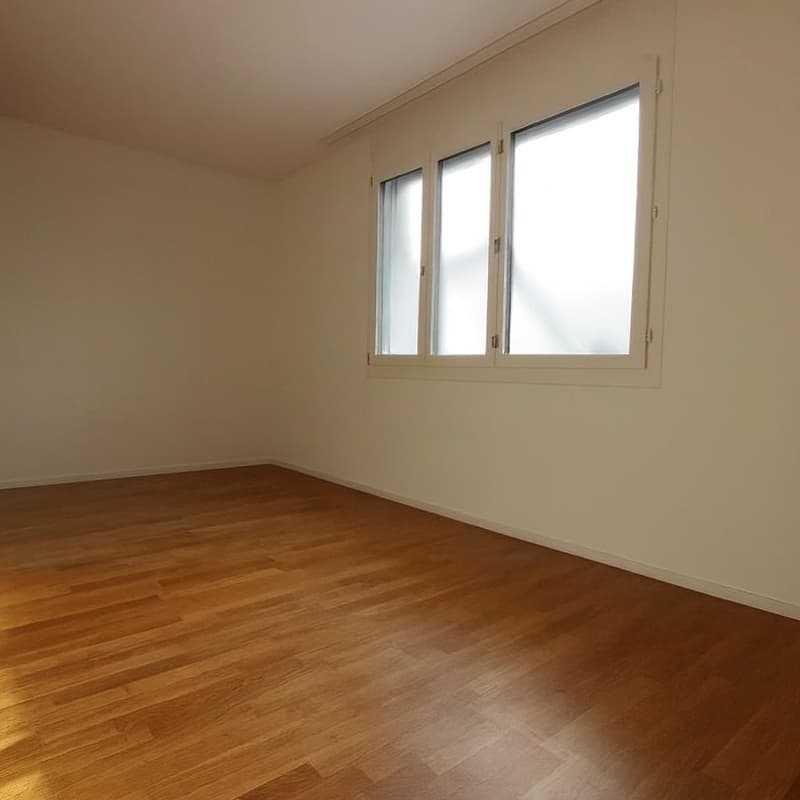 Ownership standard in the Wettingen village center (9)