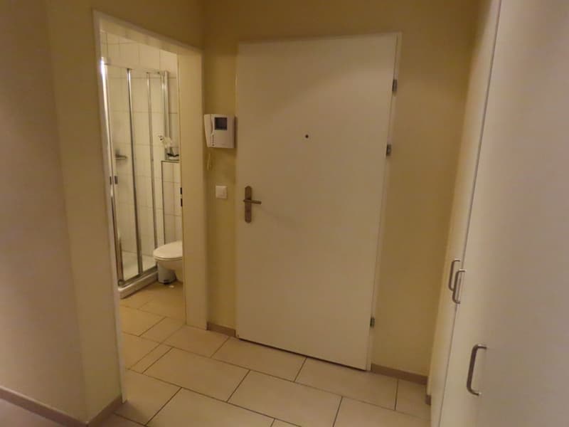 Ownership standard in the Wettingen village center (6)