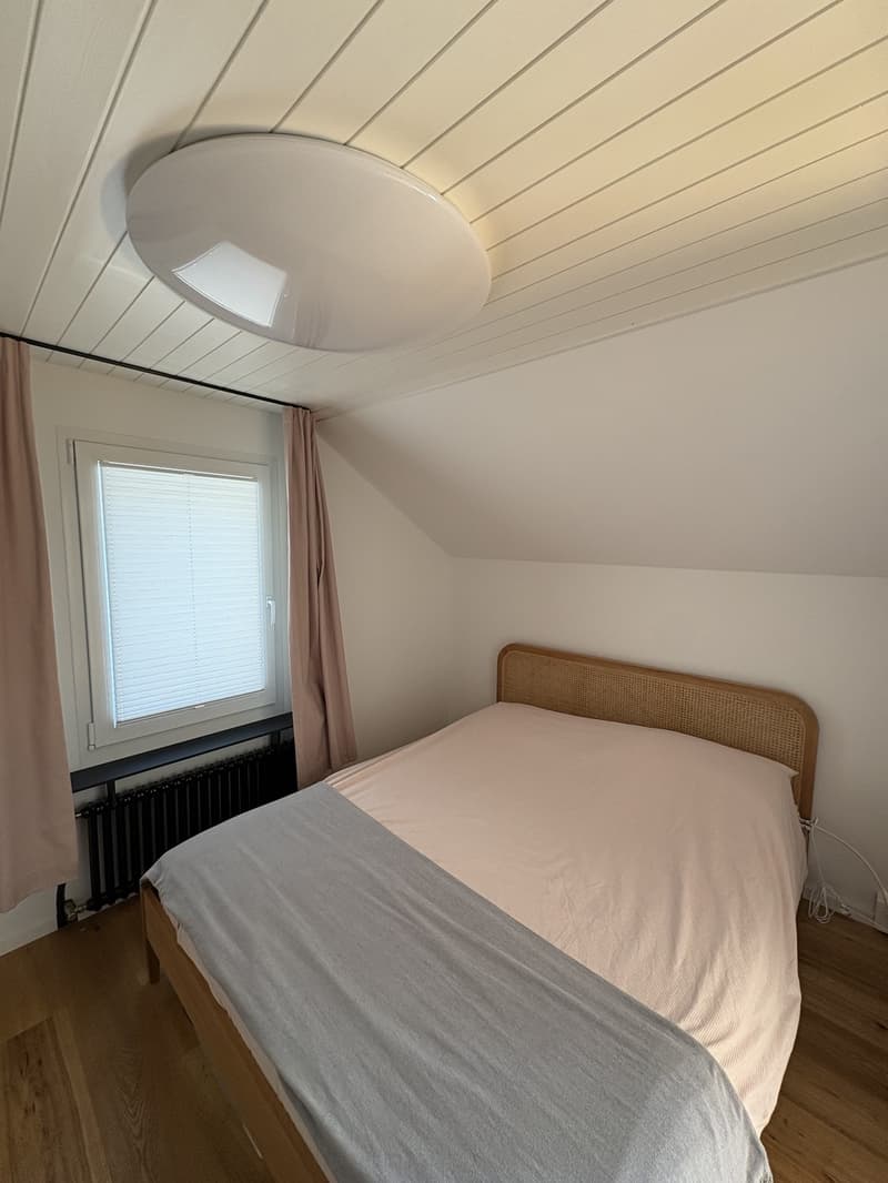 Modern furnished apartment with cellar & attic storage (4)