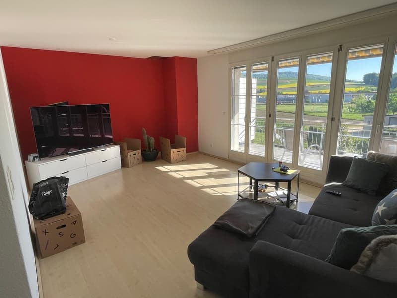 Bright 3-room apartment in a green area (3)