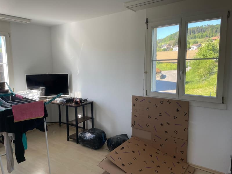Bright 3-room apartment in a green area (5)