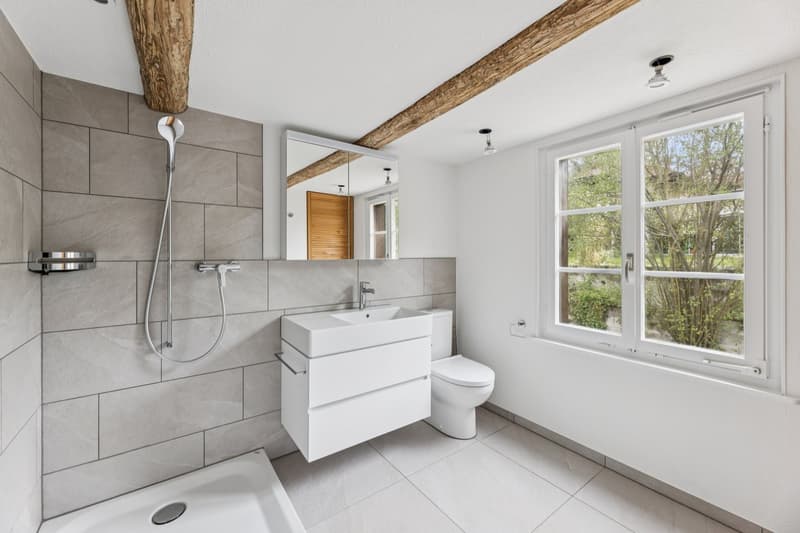 4 ½ Zimmer-Haus, 8913 Ottenbach (7)
