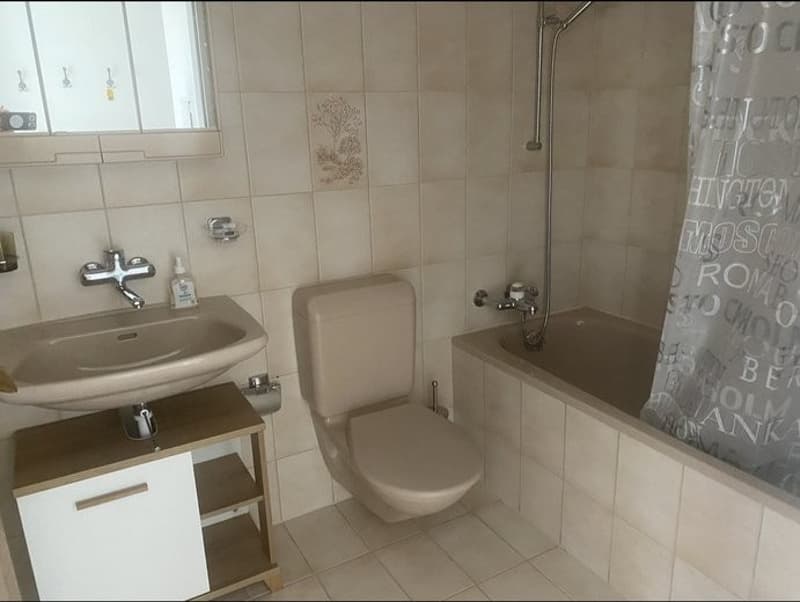 Appartamento di 2,5 locali con giardino privato dal 1.7.2026 (4)