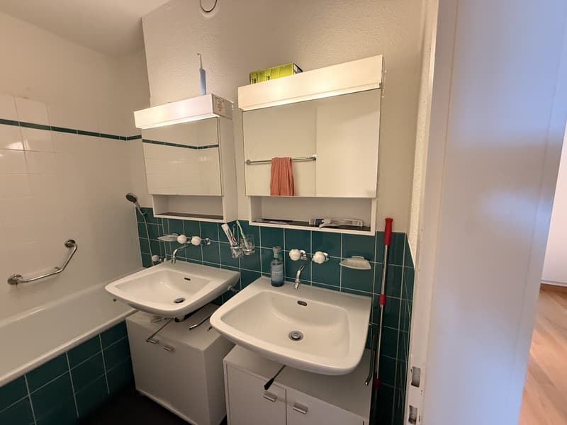 Cozy room in Zurich City (7)