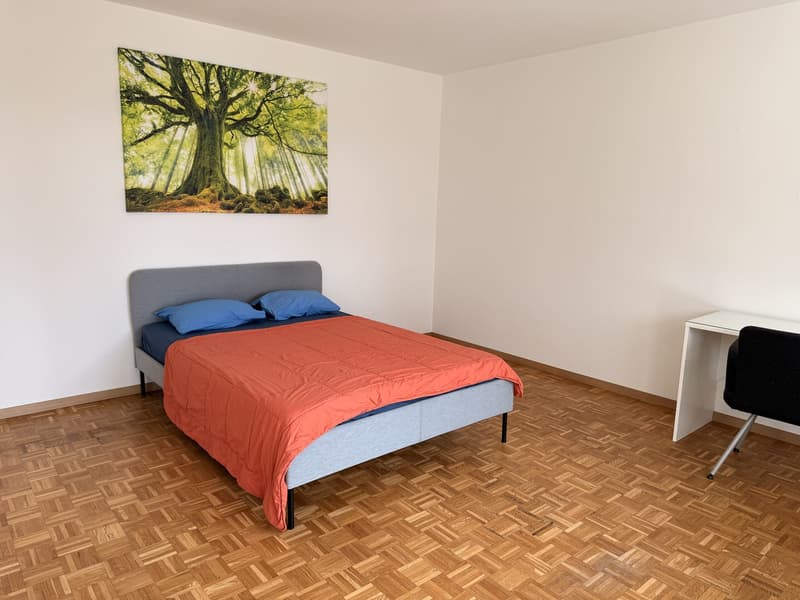 Cozy room in Zurich City (1)