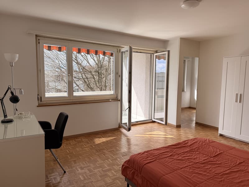 Cozy room in Zurich City (3)