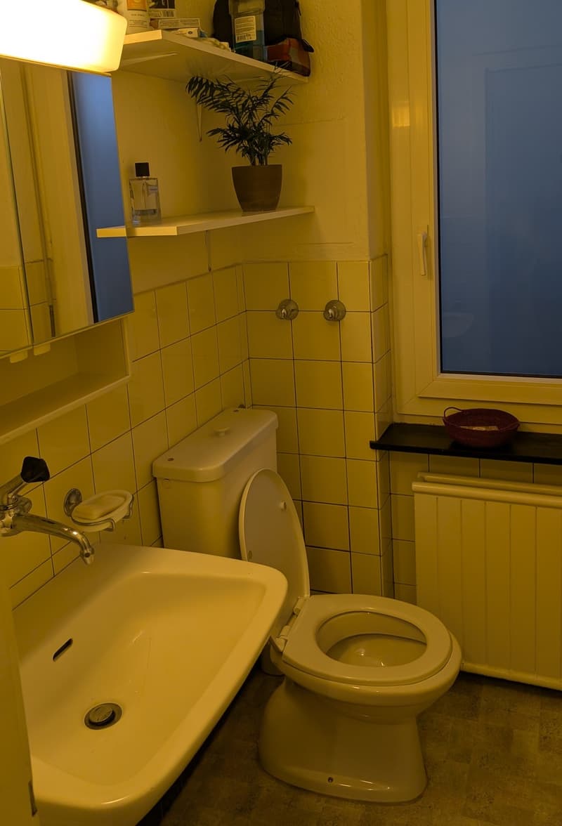 Nachmieter:in per 16. juni oder nach Vereinbarung gesucht - Studio im Niederdorf (5)