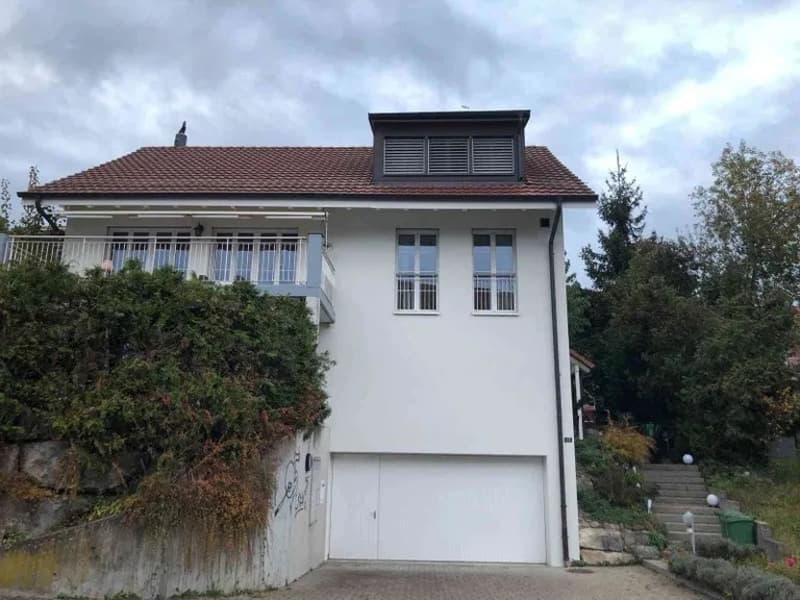 Casa familiare di 5,5 locali con giardino circondante, camino, garage e 4 posti auto a Unterengstringen (2)