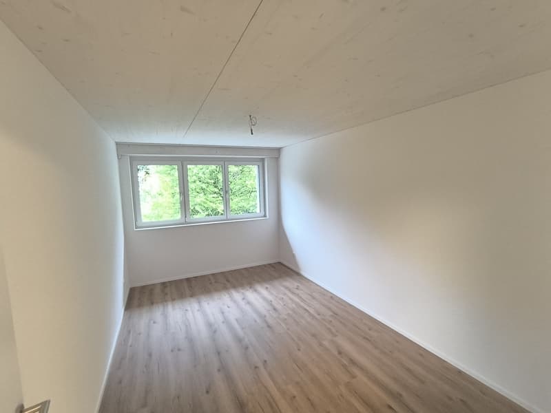 Familienwohnung 4.5-Zimmer im Neubau mit Balkon und Reduit - 105m² (2)