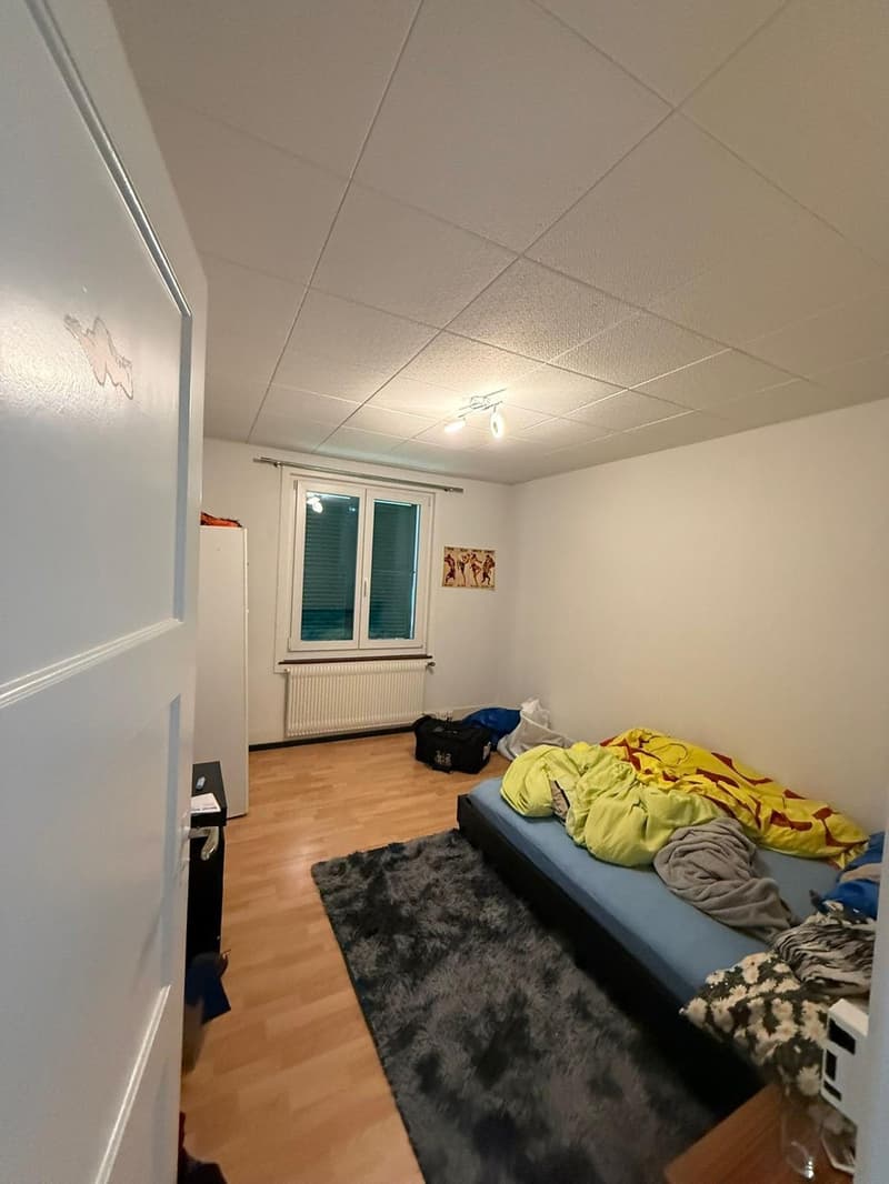 Bello e accogliente appartamento di 3,5 locali a Biel/Bienne (4)