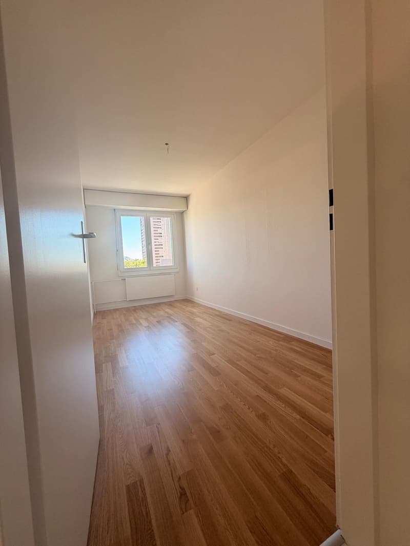 Appartement de 3.0 pièces fraîchement rénové en partie au 5e étage dans un bon emplacement (12)