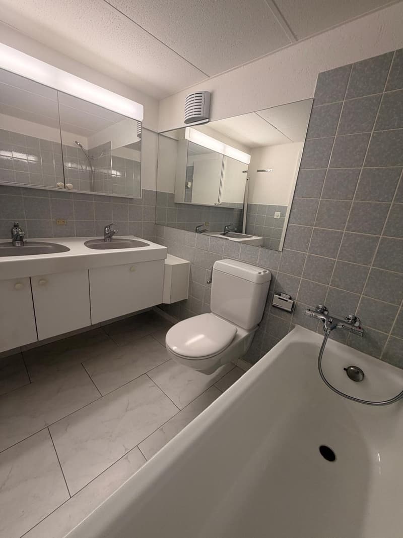 Appartement de 3.0 pièces fraîchement rénové en partie au 5e étage dans un bon emplacement (11)