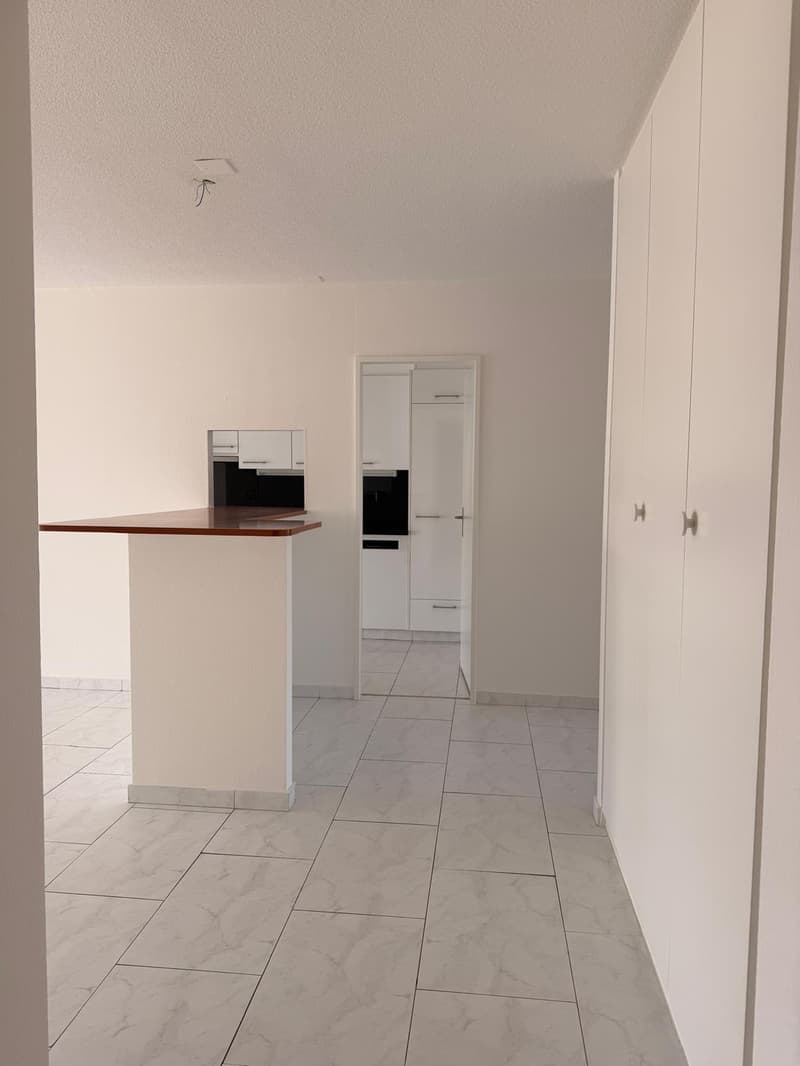 Appartement de 3.0 pièces fraîchement rénové en partie au 5e étage dans un bon emplacement (5)