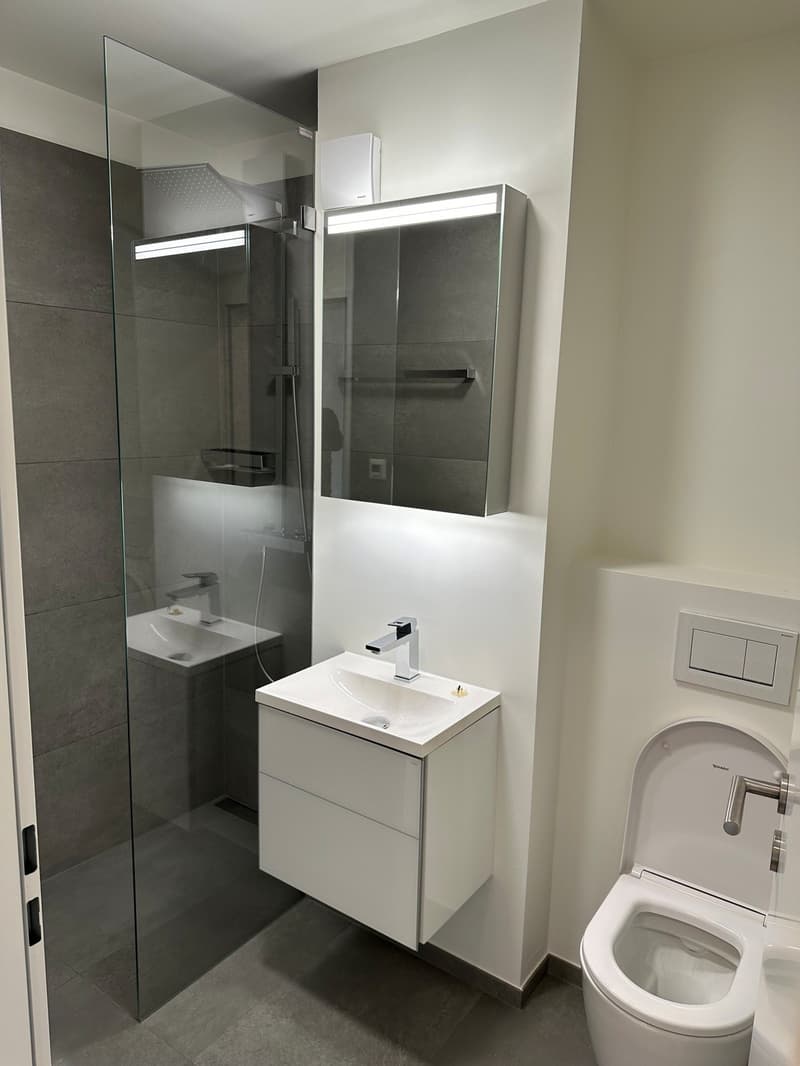Appartement moderne spacieux à Allschwil (10)