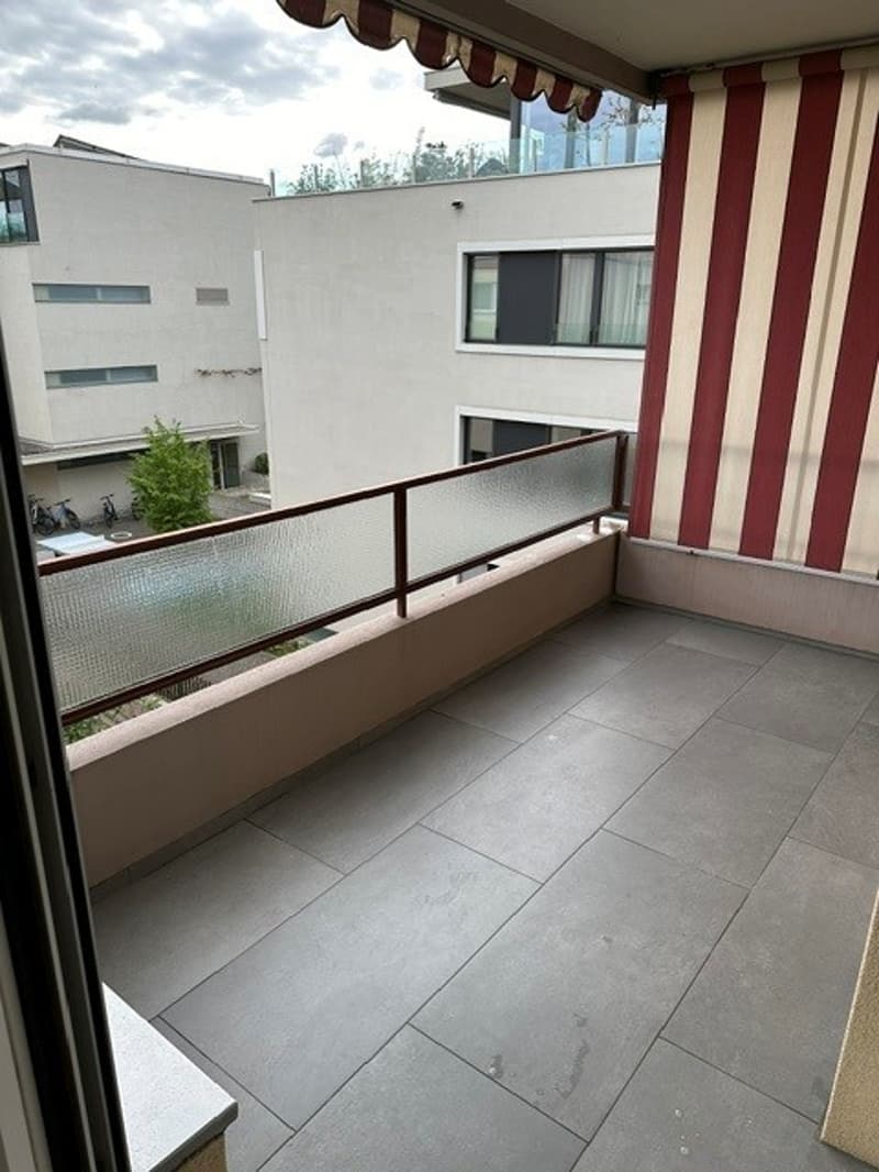 Appartement moderne spacieux à Allschwil (12)