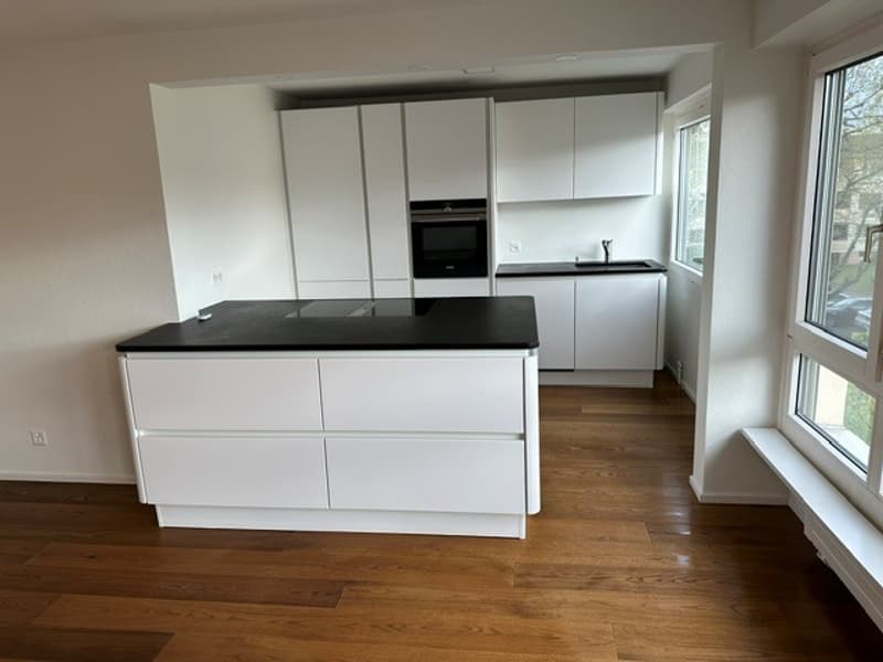 Appartement moderne spacieux à Allschwil (3)