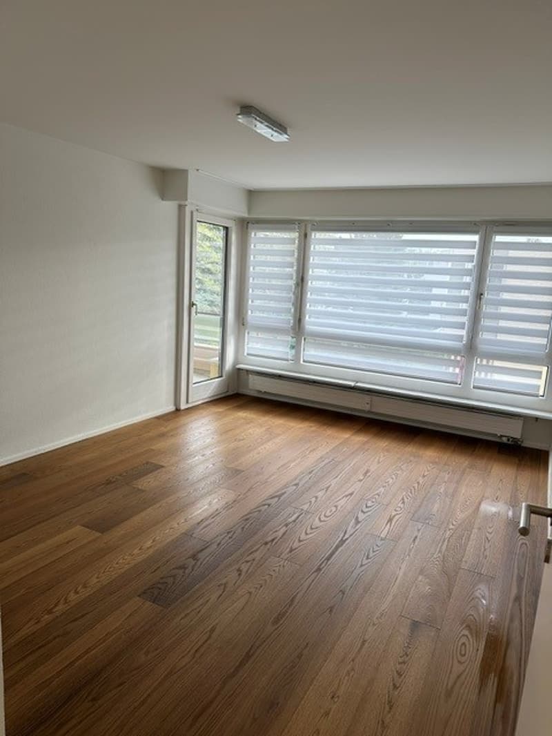 Appartement moderne spacieux à Allschwil (5)