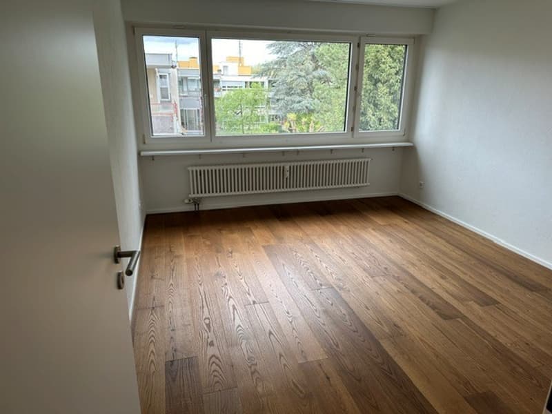 Appartement moderne spacieux à Allschwil (6)