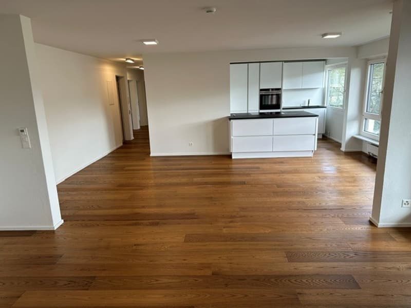 Appartement moderne spacieux à Allschwil (1)