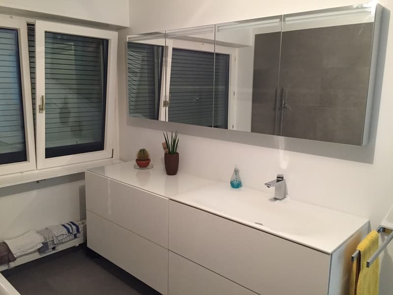 Appartement moderne spacieux à Allschwil (9)