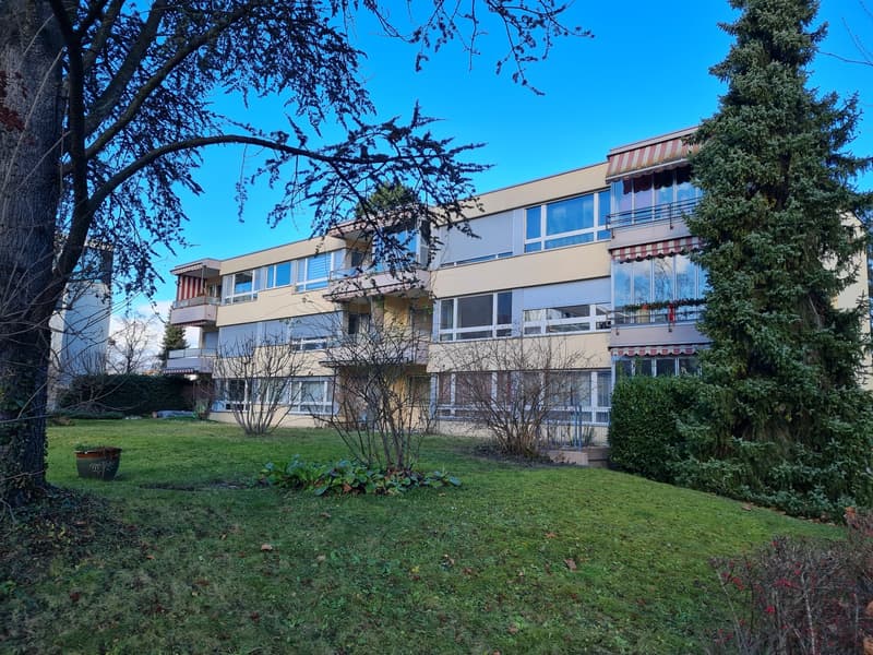 Appartement moderne spacieux à Allschwil (2)