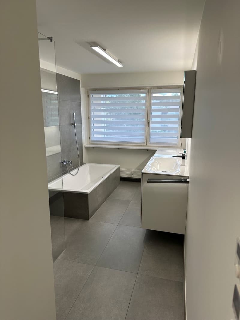 Appartement moderne spacieux à Allschwil (8)