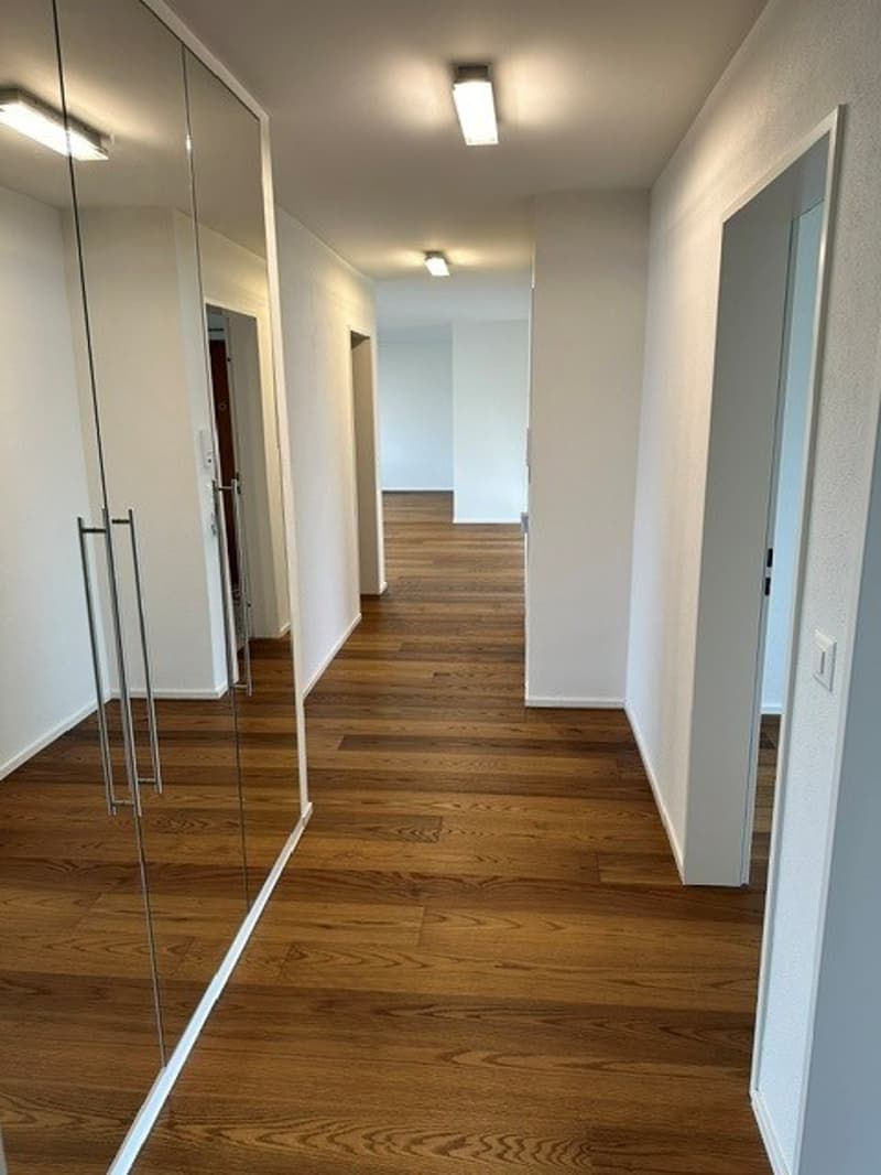 Appartement moderne spacieux à Allschwil (4)
