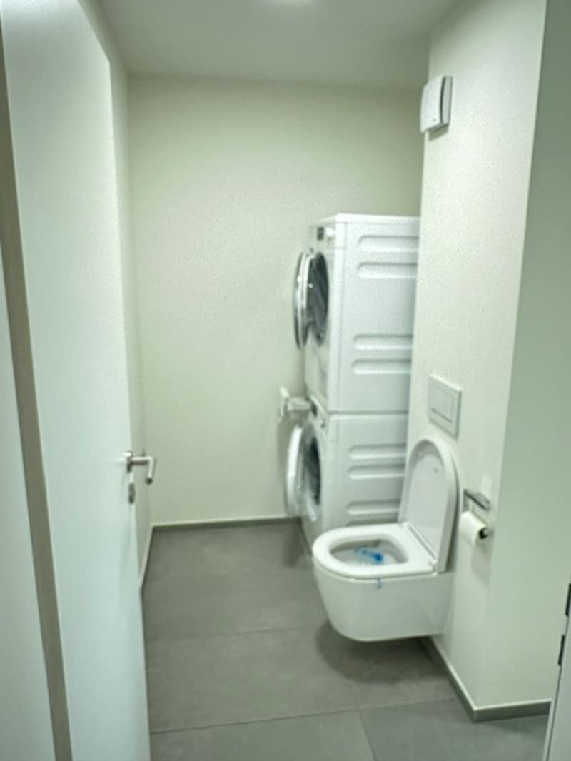 Appartement moderne spacieux à Allschwil (11)