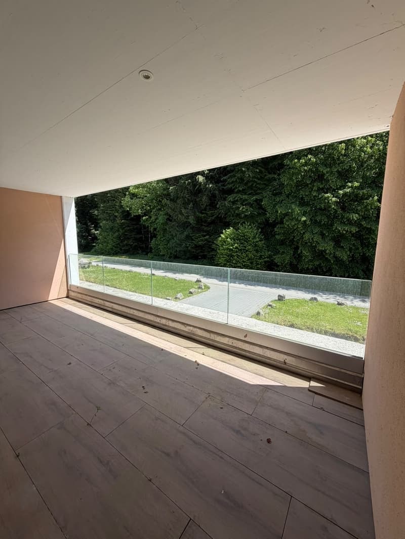 Appartamento moderno 1.5 locali in affitto (5)
