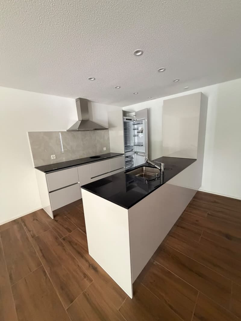 Appartamento moderno 1.5 locali in affitto (4)