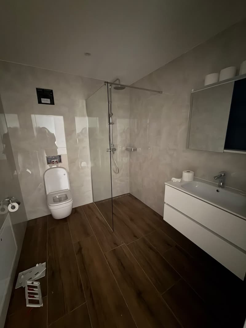 Appartamento moderno 1.5 locali in affitto (8)