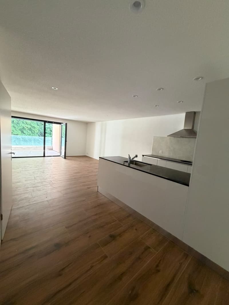 Appartamento moderno 1.5 locali in affitto (2)