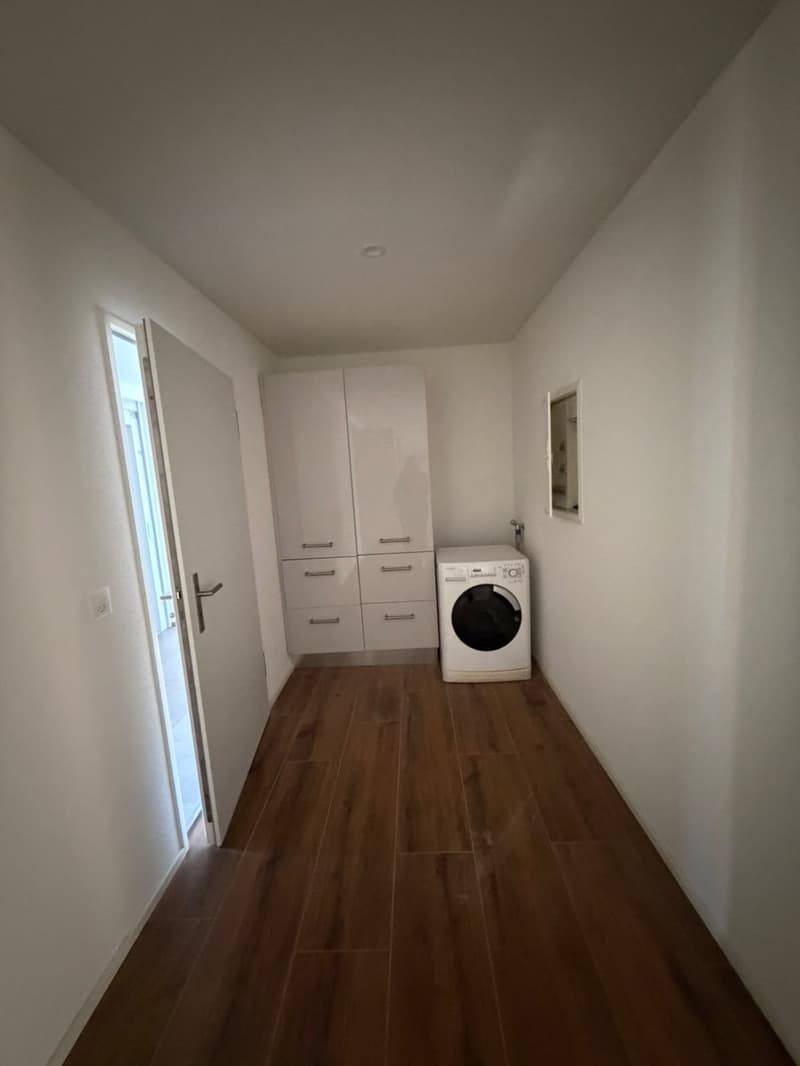 Appartamento moderno 1.5 locali in affitto (7)