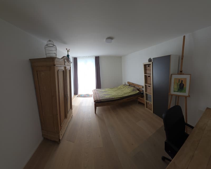 Appartamento a terrazza di 6,5 locali arredato / parzialmente arredato con attrezzatura di alta qualità a Muri AG (8)