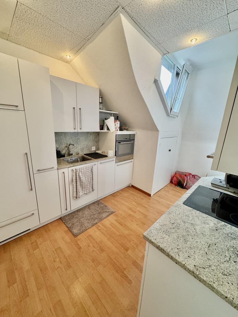Appartement de 3,5 pièces en étage supérieur, meublé, à Hegibachplatz (Seefeld) en sous-location Aug-Jan (4)