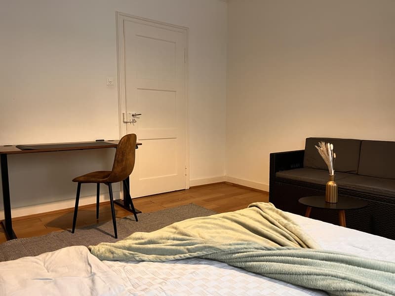 Shared Room, 4058 Basel (7)