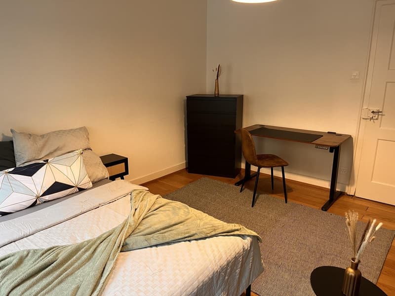 Shared Room, 4058 Basel (8)