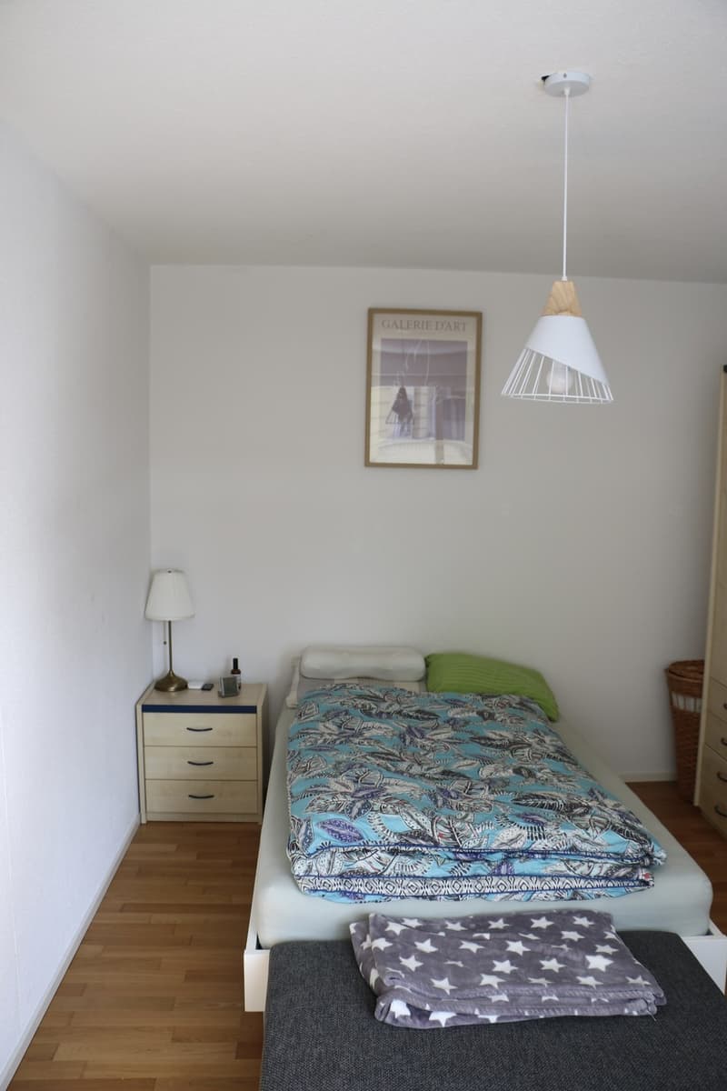 2.5 room apartment limited until 31.12.2026 (2)